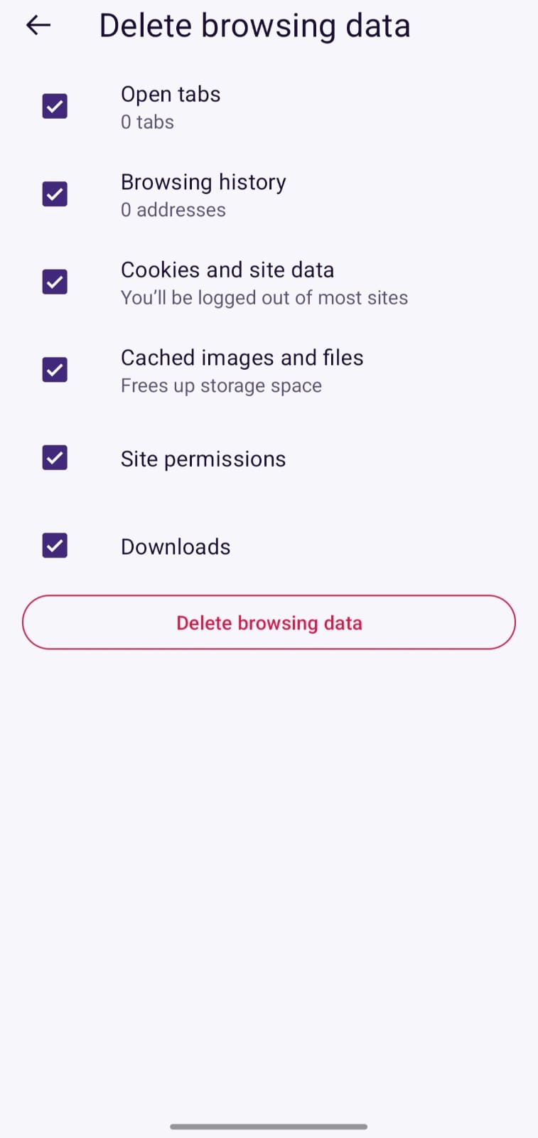 Delete Browsing Data UI